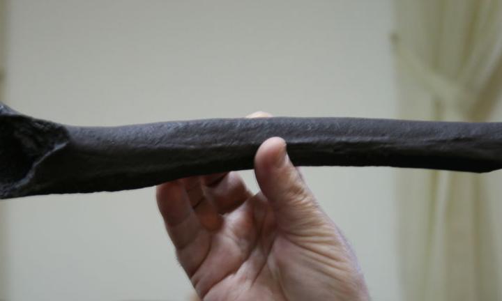 Дом Усть-Ишимского человека. В Омске готовят уникальный проект о мировой сенсации  