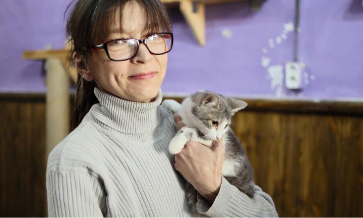 Новая жизнь омской «Клеопатры». В Омске открылся приют для бездомных кошек
