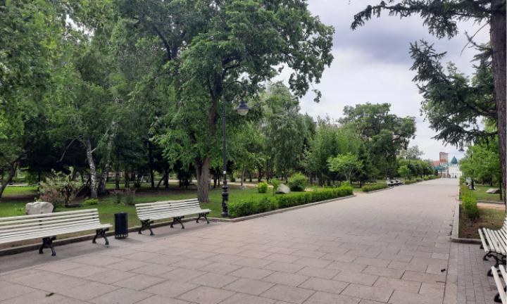 Рассвет и закат омской «тополиной эпохи». Что придёт на смену?