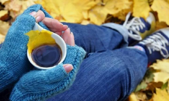 Осень начинается с кофе! Где в Омске можно выпить необычный кофе?