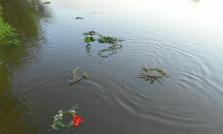 Костры, венки, вода… Мифология и библейский сюжет праздника Иван Купала