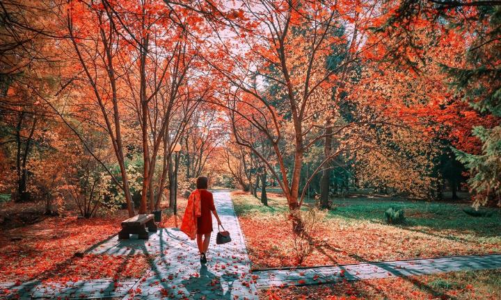 Общественные слушания по территории Дендросада проведут в апреле