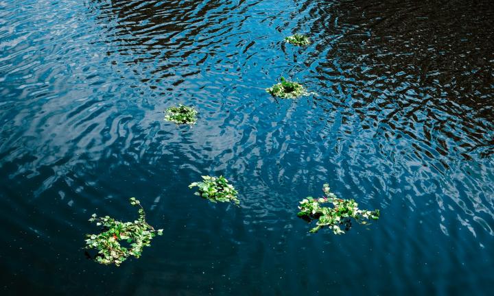 Прыжки через костёр, хороводы и берёзовые венки: где отметить день Ивана Купала