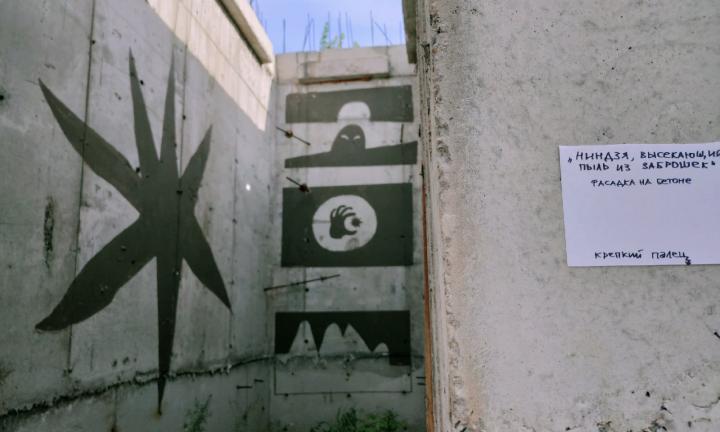 Ниндзя, лигр, лошадки: обзор омского уличного искусства