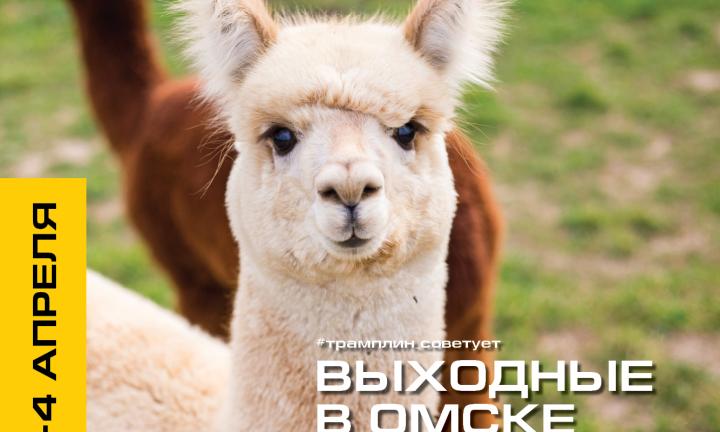 Как провести Первомай в Омске? План мероприятий на длинные выходные