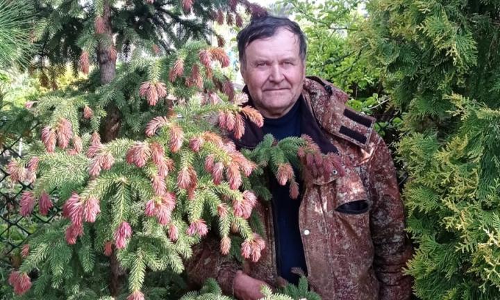 Самые ароматные – французские. Омич собрал коллекцию из 150 сортов пионов