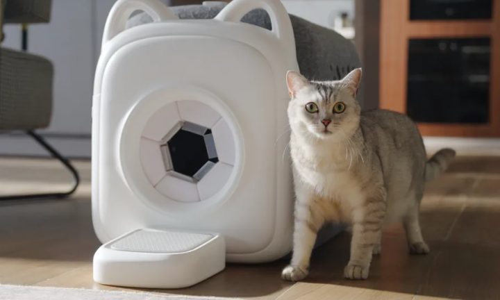 Стоматологические роботы и победа над кошачьей шерстью. Топ новостей из мира технологий