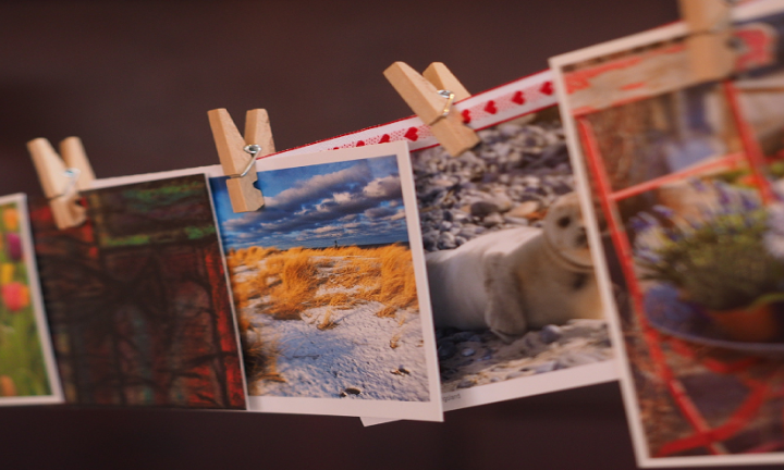 Омичи смогут поучаствовать в фотосушке на Любинском