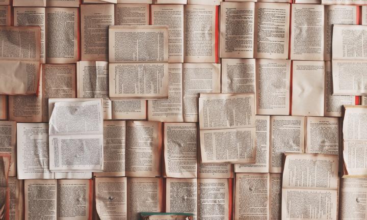 Как можно читать электронные книги бесплатно: совместный проект муниципальных библиотек и портала «ЛитРес»