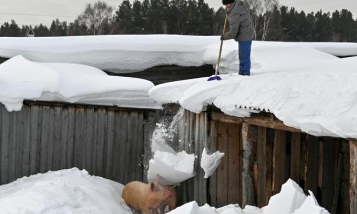 В Reuters вновь отметили талант омского фотографа Алексея Мальгавко
