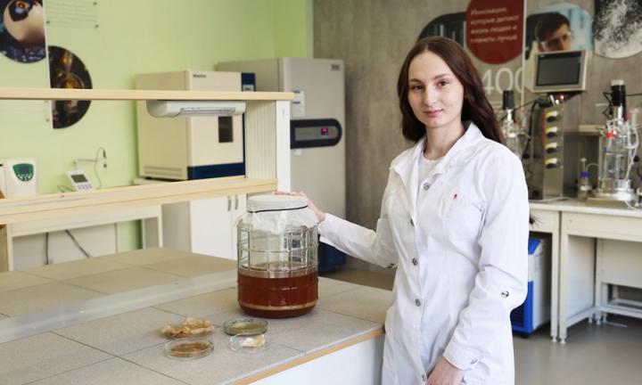 В Омске из чайного гриба создают биоматериал для заживления ран, который дешевле и эффективнее аналогов