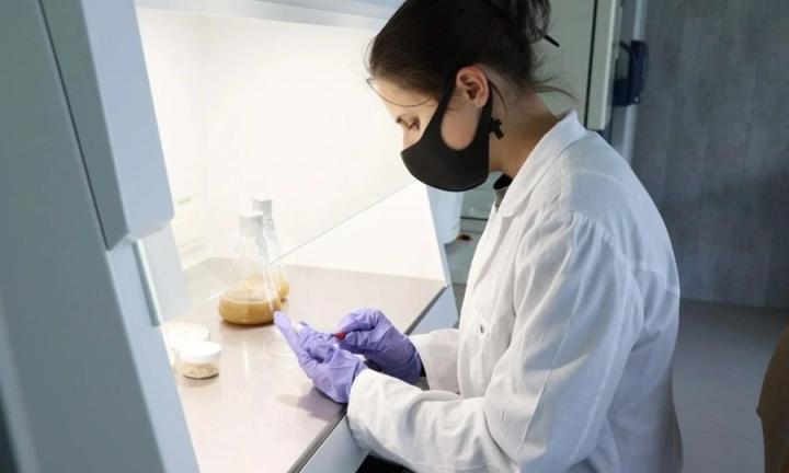 От лаборатории к прилавку. Омские политехники создают чипсы будущего на основе грибного белка