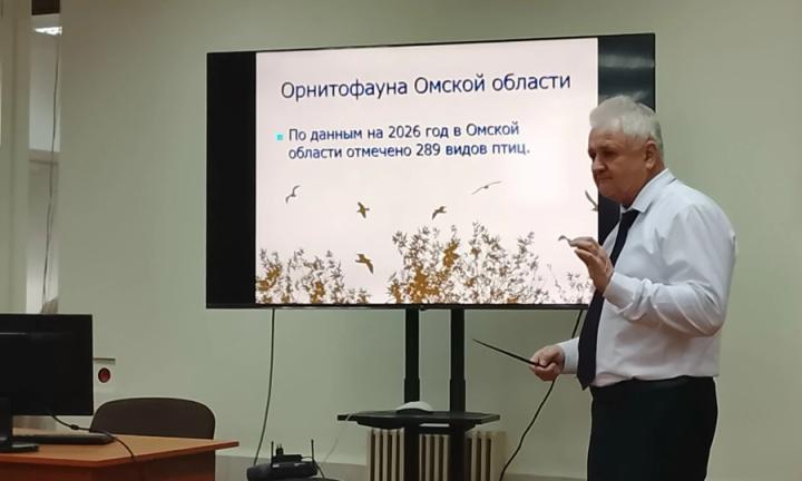 Новосибирский орнитолог Сергей Соловьёв рассказал о птицах, которых можно встретить в Омске и Омской области