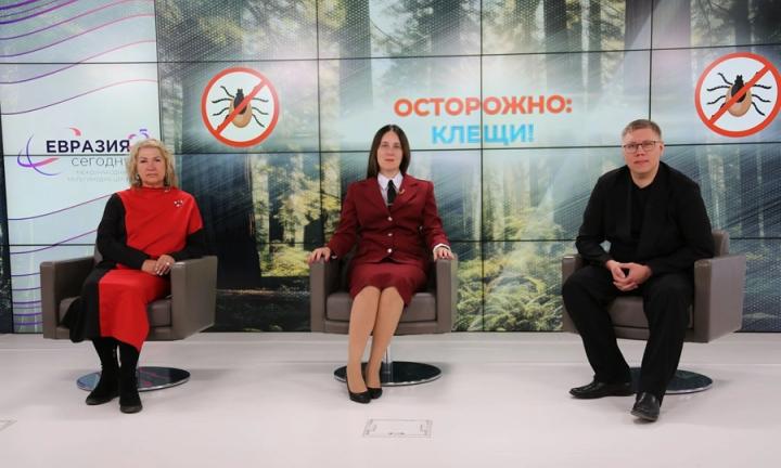 В Омской области проснулись клещи. Эпидемиологи рассказали о панике, новых тест-системах и «экстренной» вакцинации