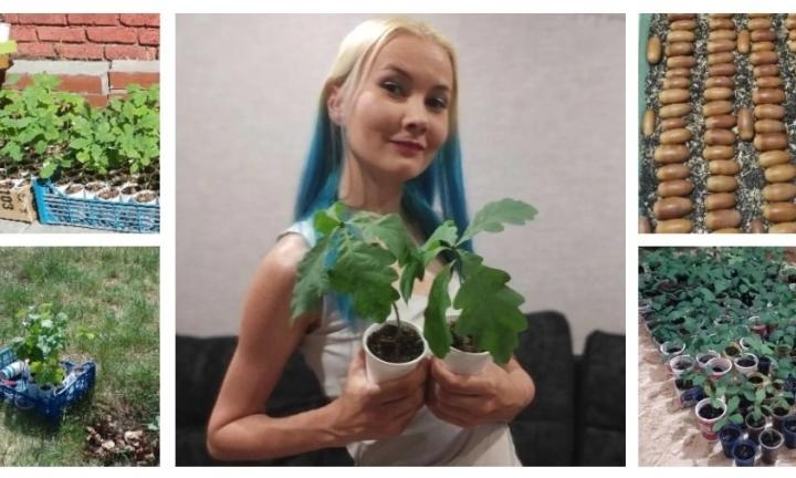 300 дубов в год: как омичка уже восемь лет превращает жёлуди в городские леса