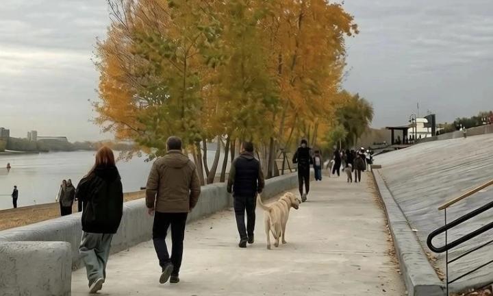 В ответе за друга. Возможен ли компромисс между собачниками и обществом