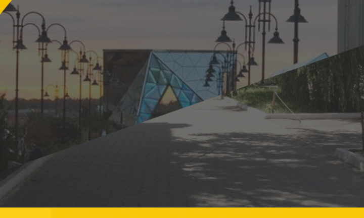 Горожане: мечты не сбываются или как омичи защищали деревья от вырубки