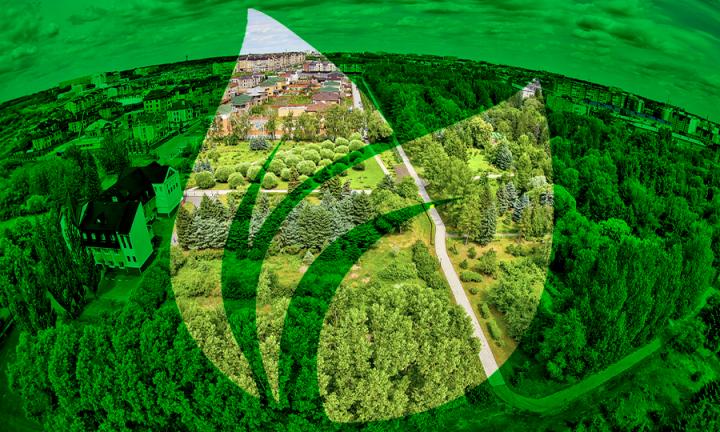 «Город-сад»: как Гензе с соратниками создали уникальный дендросад для озеленения Омска, Сибири и Казахстана