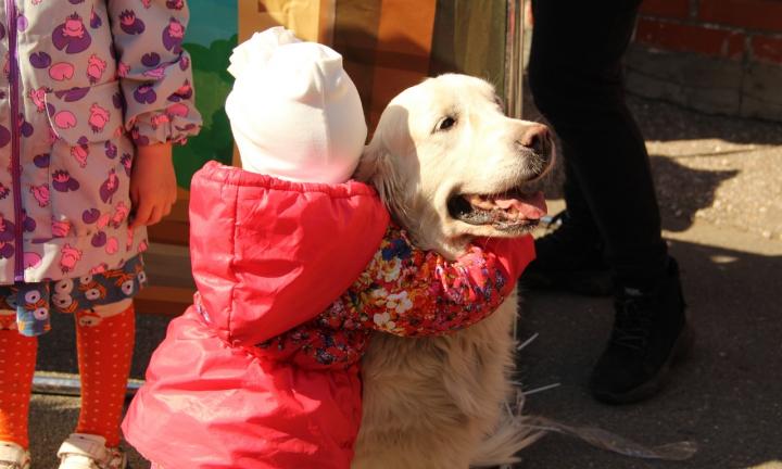 Омские канистерапевты помогут новосибирским детям