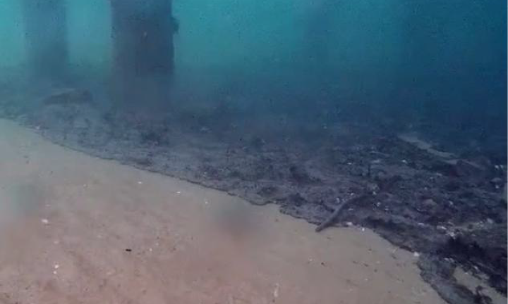 «Вылечить» море. Томские учёные создали уникальную природоохранную технологию