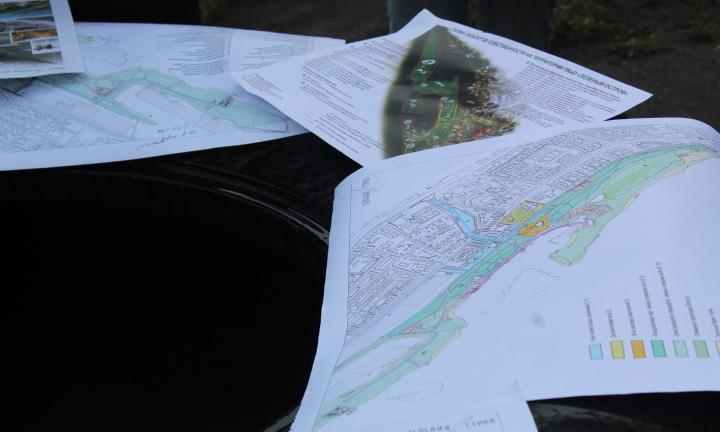 Директор «Центра компетенций городской среды» ответил на замечания по проекту «Зелёного острова»