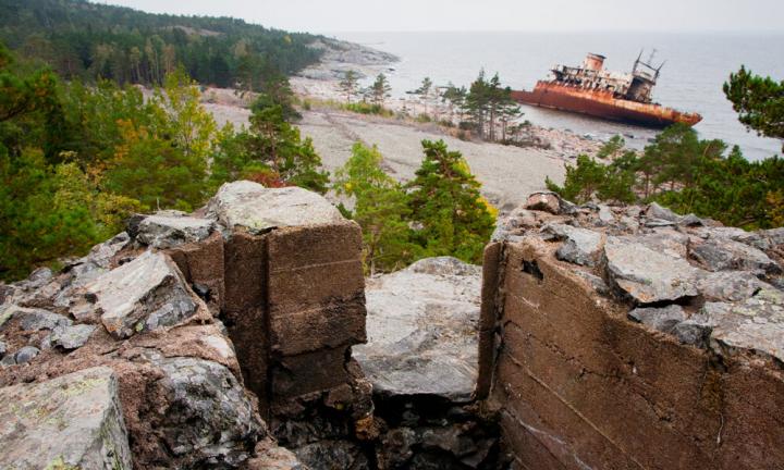 Восьмилетний мальчик с острова Гогланд проведёт урок окружающего мира для омских школьников