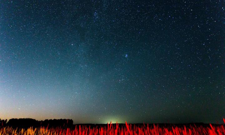 «Космос нас ждёт»: подборка материалов в честь Дня космонавтики