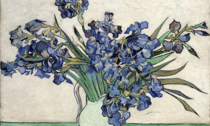 Ван Гог, омские улицы и портрет бабушки: что посмотреть в Музее просвещения