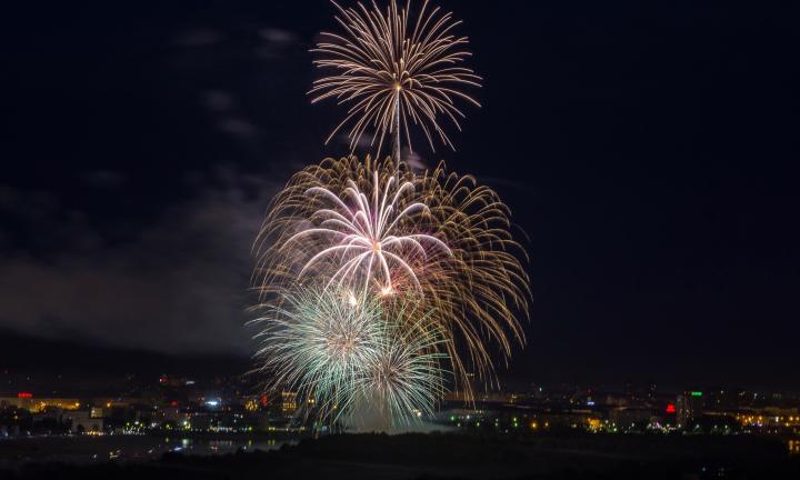 Афиша 9 мая: салют, «Собаки Победы» и экскурсии