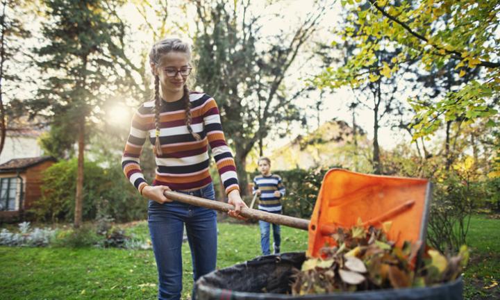 24 апреля пройдёт массовый субботник с участием омского бизнеса