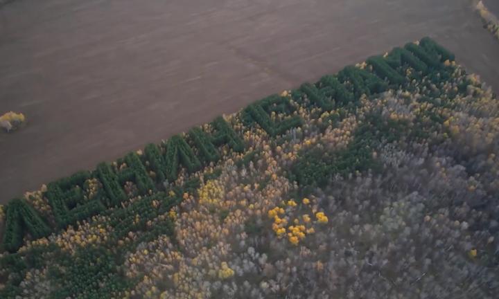 «Ленин с нами», «75» и место посадки НЛО в Солнечном: подборка омских геоглифов