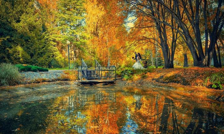 Дендропарк сохранят для омичей? Прокуратура вмешалась благодаря общественному резонансу.