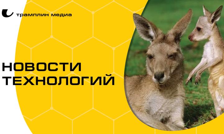 Галоперидол без побочек и пересадки людям свиных почек. Новые достижения учёных в мире