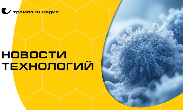  Молодильный квас и белок-антифриз. Топ свежих разработок российских учёных
