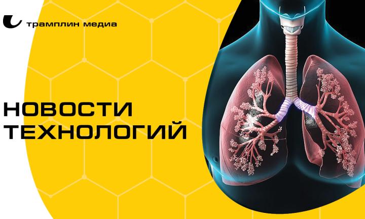 Вакцина от аллергии на берёзу и «охотники» за аксионами. Топ разработок российских учёных