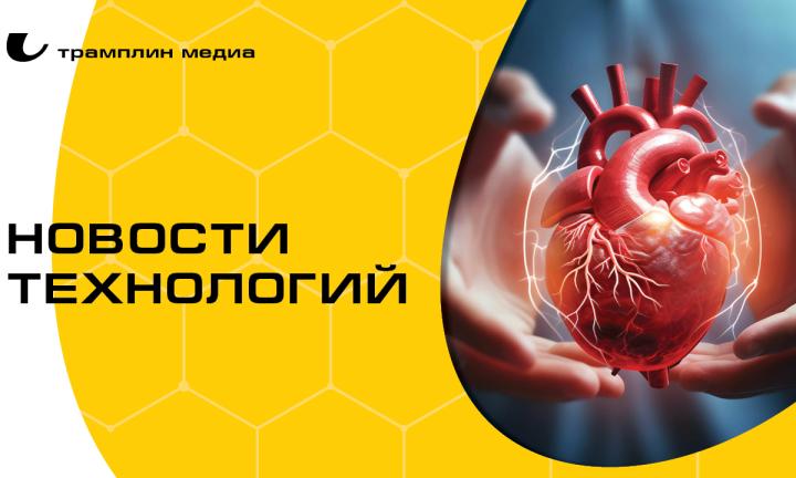 Вечные батарейки из шелухи и самый прочный титан в мире. Топ разработок российских учёных 