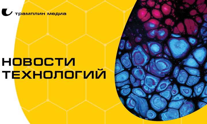 От «умного леса» до «выключателей» для мозга. Топ разработок российских учёных