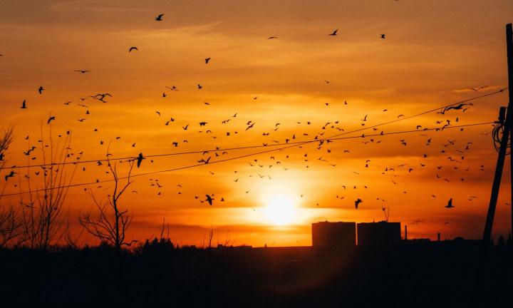 Афиша 12 — 13 марта: пицца, керамика и настольные игры