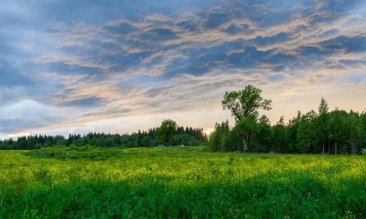 Полное решение проблемы