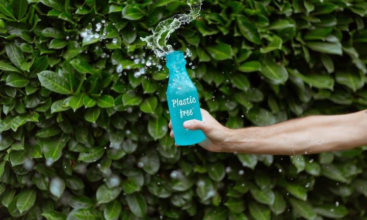 Омские школьники превращают мусор в деревья