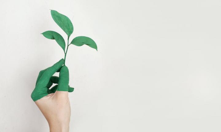 Могут ли электродвигатели спасти леса? В «Доме Культуры» пройдут дебаты на тему экологии