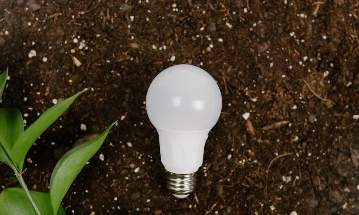 Час Земли в Омске: кто принял участие в мировой акции