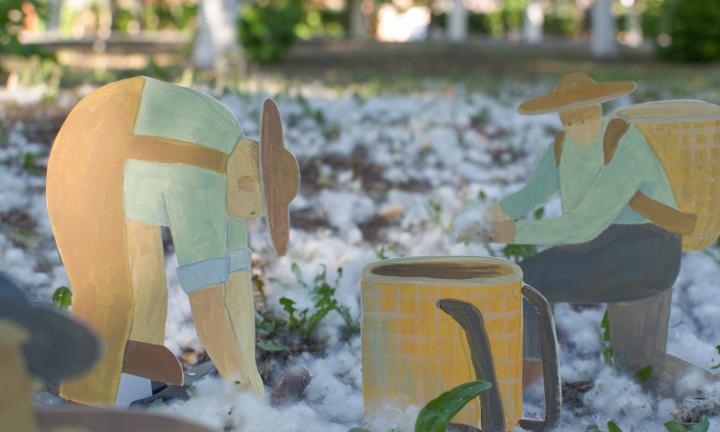 «Работа на плантации кипит»: в городе заметили собирателей «хлопка»