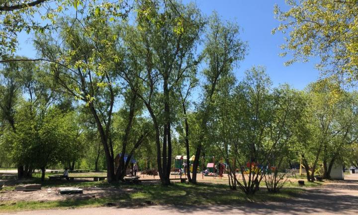 Какие из замечаний горожан оказались учтены при благоустройстве «Зелёного острова»