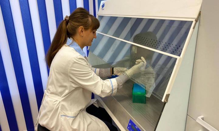 Пшеничный хлеб вместо БАДов: в ОмГАУ создают международную лабораторию по оценке качества зерна