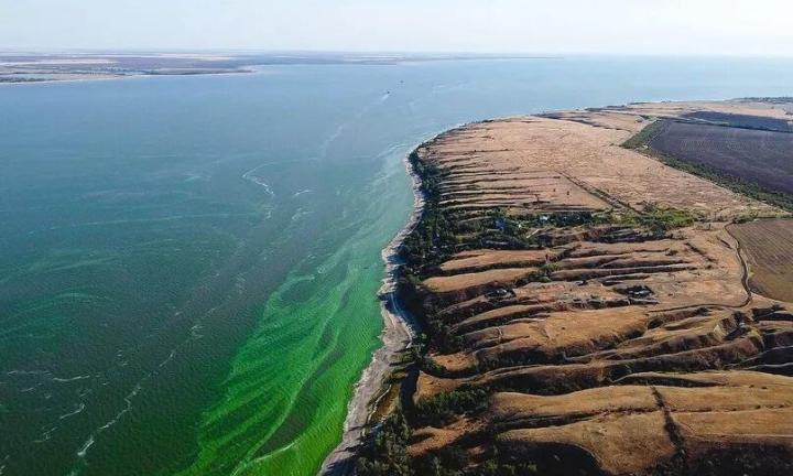 Как Омск чуть не стал приморским городом? История сумасшедшего проекта