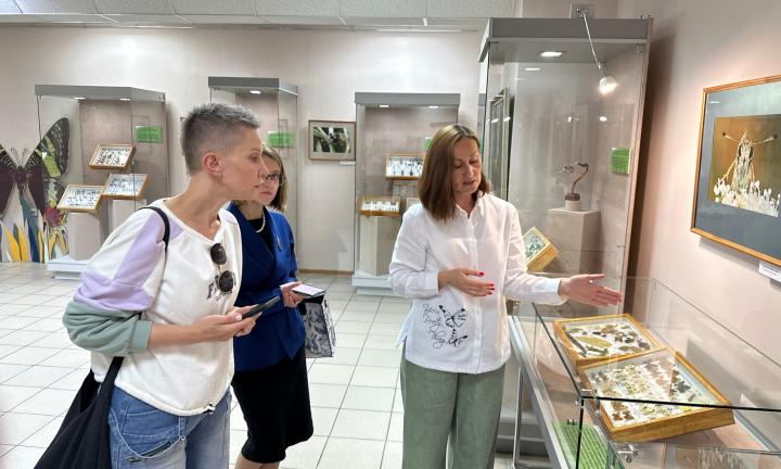 «Мал, да удал»: в Омском краеведческом музее открылась выставка о насекомых