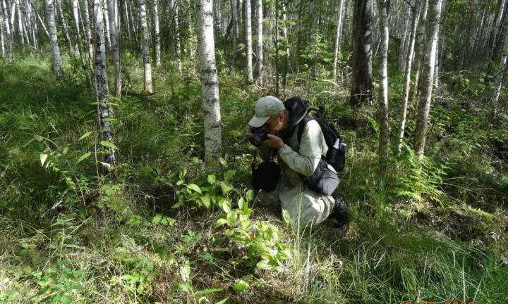 Омские учёные отправляются в экспедицию за обновлением Красной книги региона 
