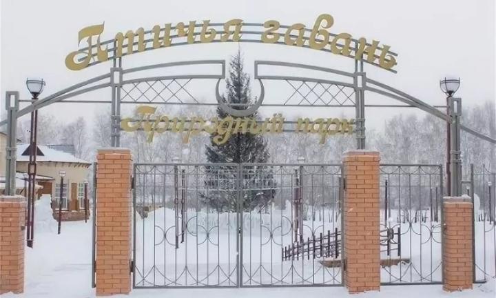 Как в Омске появился уникальный природный заповедник «Птичья гавань» 