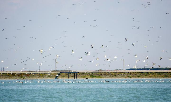 Афиша 2 – 3 апреля: игротека, мастер-классы и уникальный концерт